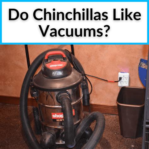 Witchcraft Reinvented: the Haunting Power of the Vacuum Cleaner